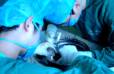 �I��ֲ���g