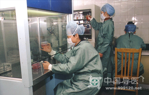 ԇ��<a href='http://www.www.sr88.cn/mmbb' target=_blank>�냺</a>����