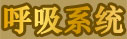 呼吸系統(tǒng)
