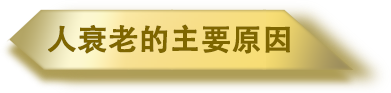 衰老的主要原因